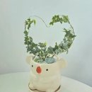 반려식물 원예화분 공예 | [진천증평아산]늘돌봄교실_아이비식물리스화분. 너만의 속도로 성장하는 마음근육키우기_원예 수업키트