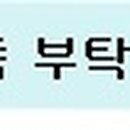 송정동초등학교 앞 이미지