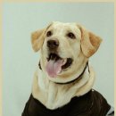 대덕 동물병원 이미지