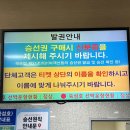 전남수국명소 고흥쑥섬 수국정원