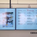 세라젬 웰카페 고양라페스타점
