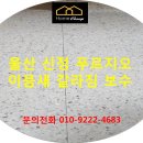 신정보수
