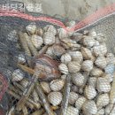 바닷길펜션 | 태안펜션 바닷길풍경 영업시간 위치 후기