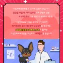 분당-299 이미지