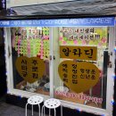 알라딘펫 | 건대 타로 | 사주 잘 보는 알라딘타로사주 솔직 후기