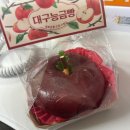 늘보의 일상_2월