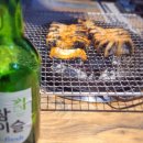 세미장어 이미지