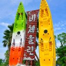 비체올린 이미지