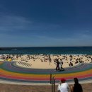 하루TWO | 호주 시드니 자유여행 Day 3 | Two Good Eggs 카페 후기 + 쿠지–본다이 코스탈워크