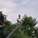 링크아트센터드림 드림2관 이미지