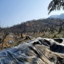 대산리축사 이미지