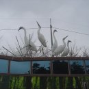 백로공원 화장실 이미지