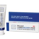 리커버리 이미지