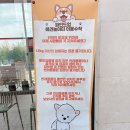 못된강아지(뽑기놀이터) | [담양 파인드업] 담양 카페 애견동반카페 추천 방문후기