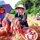 지리마을축산 이미지