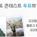 고고싱투어