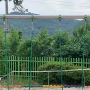 파평초등학교 이미지