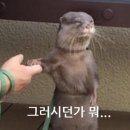 미미작업실