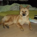 사옥축산 이미지