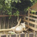 백록농장 이미지