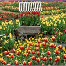 백야가든 이미지