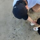 팔팔팬션민박 이미지