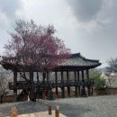 대사로(길안면) | 안동 여행, "합시다, 러브" 미스터 션샤인의 그곳, 만휴정과 묵계서원 산책