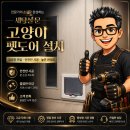 노원남부홈가맹점 | 고양이 펫도어 전문 설치 업체 시공 후기