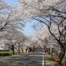 화게식당