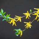 반석로2 이미지