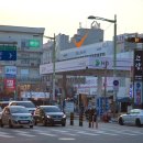 브라운도트 이미지