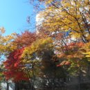 산본중앙공원 이미지