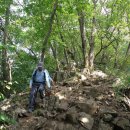 가자먹으로 이미지