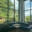 아니타 홈 이미지