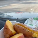 오아스시 이미지