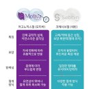 모티바