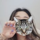 네일케이(Nail K) 이미지