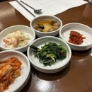 송원애견 이미지