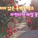 하천리-2 이미지