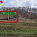 정자리농장 이미지