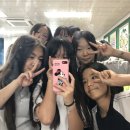 아뮤고나 이미지