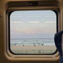 동해상사고속(주) | 즉흥으로 떠나는 묵호 당일치기 여행🏃