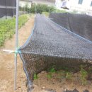 만기목장 이미지