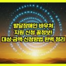 자폐성 장애 특수교육 대상자 부모의 직업생활과 자녀치료 사례 | 발달장애인 바우처 지원 신청 꿀정보! 대상·금액·신청방법 완벽 정리