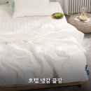 (주)카스 | 여름이불 카스 SS 써보니 호텔식 순면 냉감이불 2주 사용후기