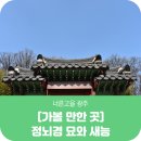 정뇌경 묘지석 및 함 | 경기도 광주 봄나들이 가며 들러볼 만한 곳, 정뇌경 묘와 새능