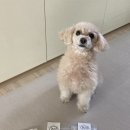 멍파티 이미지