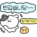 미스터딴또딴또 이미지