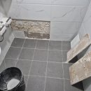 완월남로 | 창원 마산 완월 청구제네스 아파트 욕실 타일 하자 수리. 보수 공사로 화장실 원상 복귀 완료!!