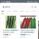 오수의과 동물병원 이미지